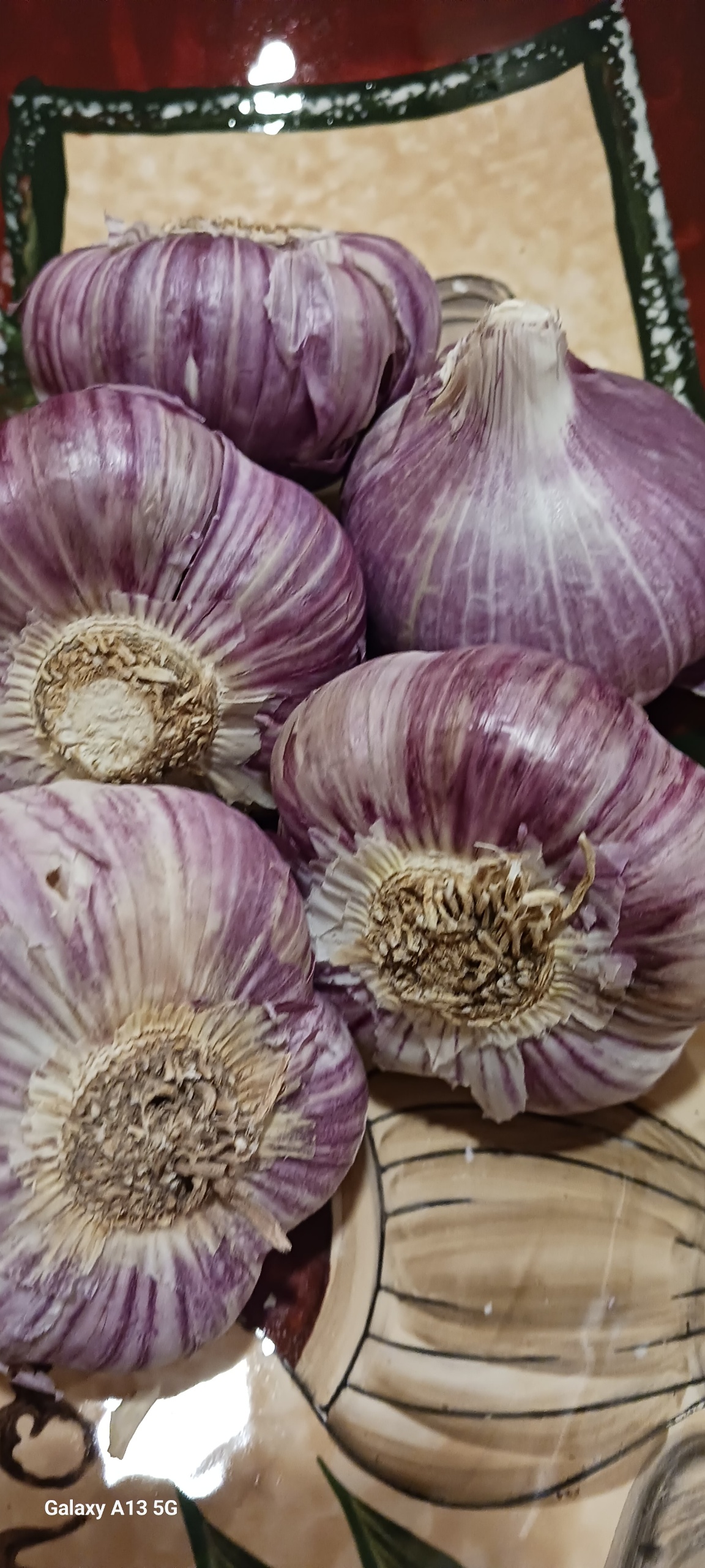 garlic